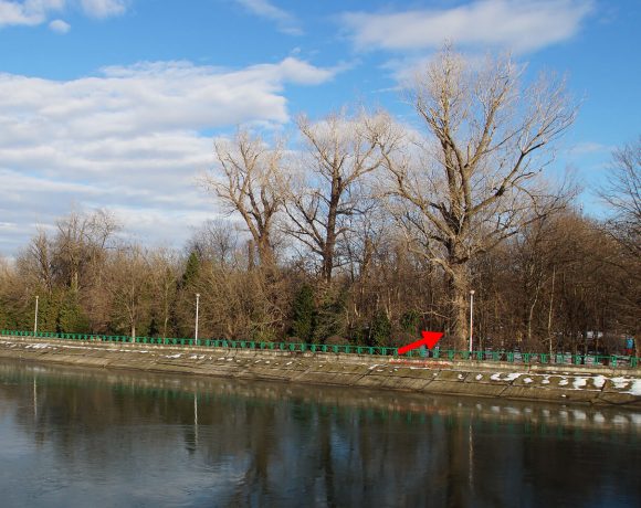 Plop – Parcul Central din Târgu Jiu